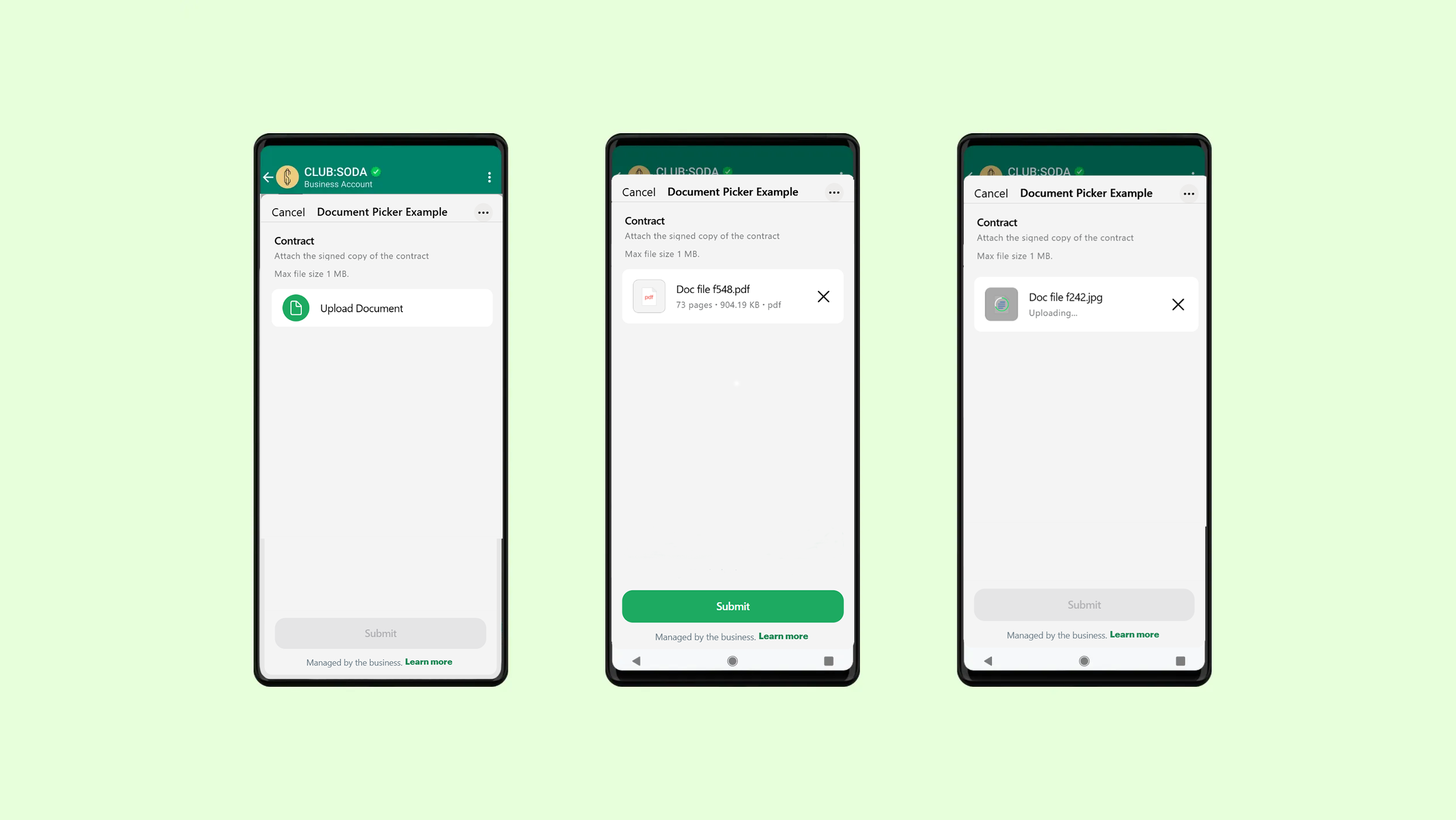 WhatsApp Flow Document Upload
