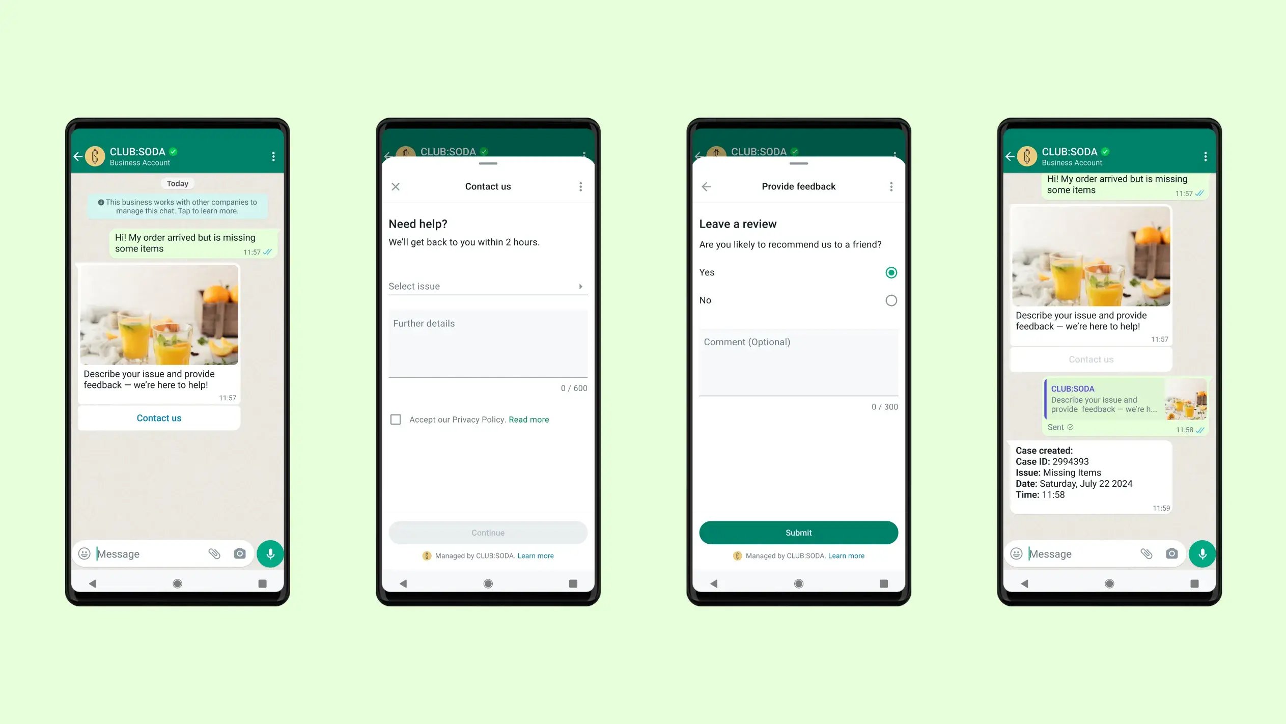 WhatsApp Flow Survey