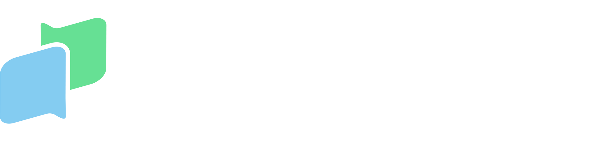 flowella white logo